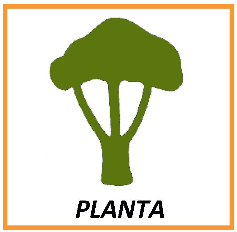 PLANTA - Centro di Ricerca, Documentazione e Formazione